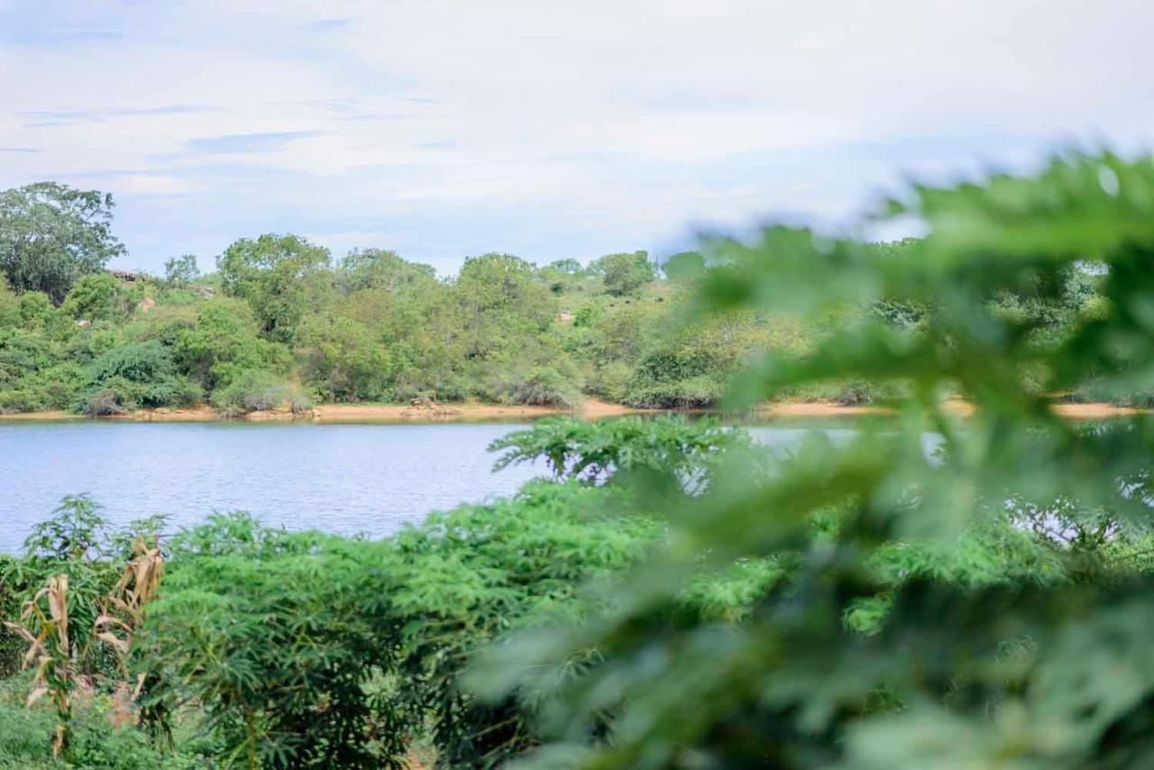 Birds Resort ฮัมบานโตตา ภายนอก รูปภาพ
