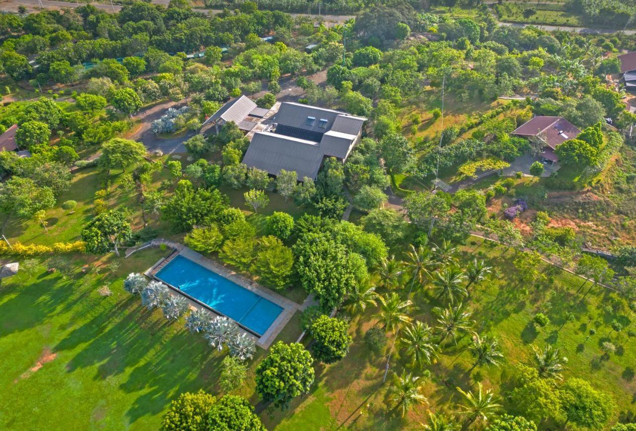 Birds Resort ฮัมบานโตตา ภายนอก รูปภาพ
