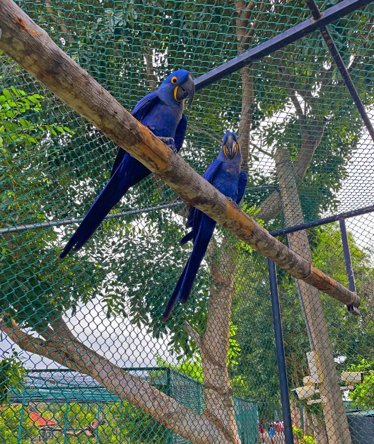 Birds Resort ฮัมบานโตตา ภายนอก รูปภาพ